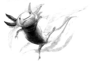六角恐龙的素描铺大色画法步骤08