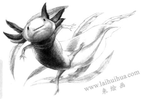 六角恐龙的素描画法
