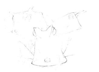 牛角鱼素描画线稿画法步骤03