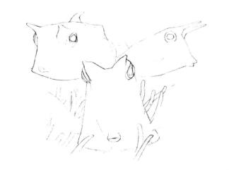 牛角鱼素描画线稿画法步骤04