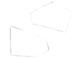 碟尾金鱼素描画线稿画法步骤01