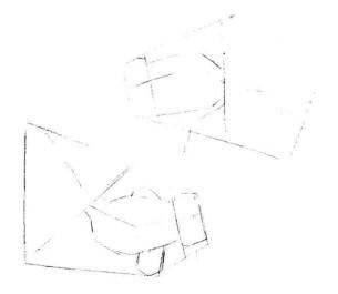 碟尾金鱼素描画线稿画法步骤02