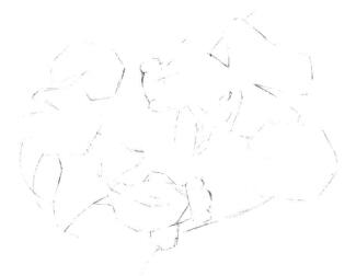 碟尾金鱼素描画线稿画法步骤04