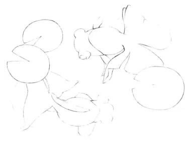 碟尾金鱼素描画线稿画法步骤06