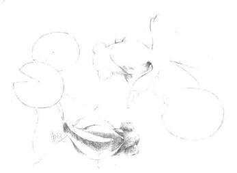 碟尾金鱼素描铺大色画法步骤02