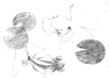 碟尾金鱼素描铺大色画法步骤03