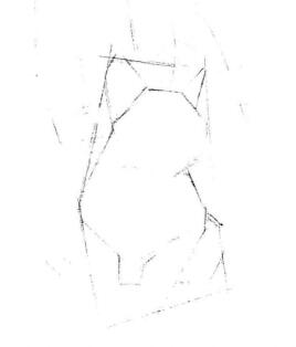 暹罗猫的素描画法步骤