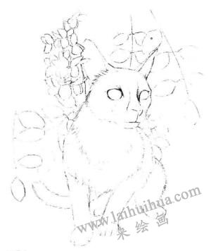 暹罗猫的素描画法步骤