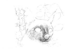 暹罗猫的素描画法步骤