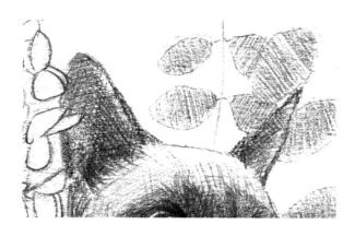 暹罗猫的素描画法步骤