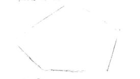 天竺鼠画法步骤,小豚鼠素描画法,小仓鼠素描画法