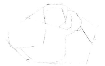 天竺鼠画法步骤,小豚鼠素描画法,小仓鼠素描画法