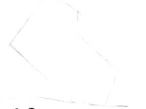 小香猪的素描画法步骤