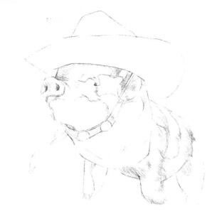 小香猪的素描画法步骤