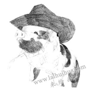 小香猪的素描画法步骤