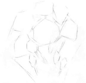 桔梗花的素描画线稿画法步骤01