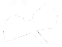 木棉花的素描画线稿画法步骤02