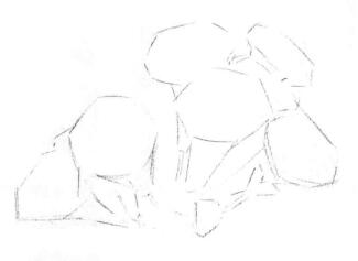 凌霄花的素描画线稿画法步骤02