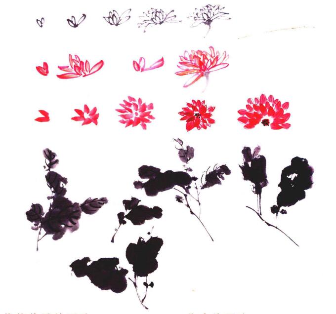 菊花花瓣和菊叶的国画画法