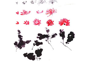 菊花花瓣和菊叶的国画画法