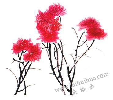 红菊的国画画法步骤03