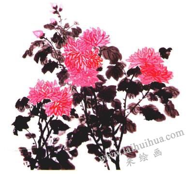 红菊的国画画法步骤06