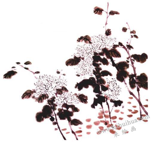 白菊的国画画法步骤04