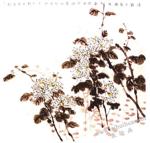 白菊的国画画法