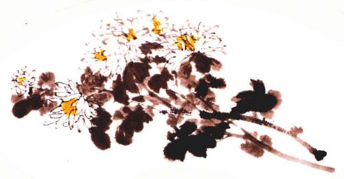 扇面白菊的画法步骤04