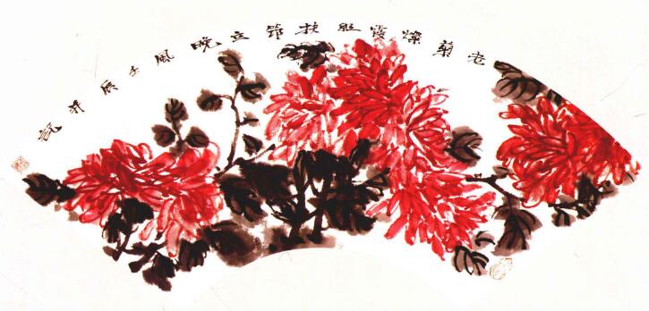 扇面红菊的画法