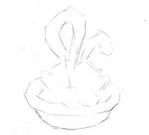 石莲花的素描画线稿画法步骤02