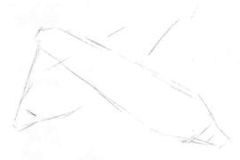 玉米的素描画法步骤02，画线稿