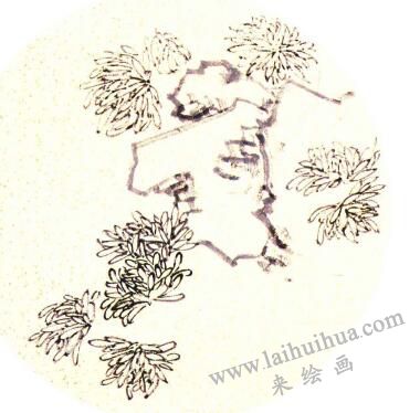 团扇菊花的画法步骤02，范例一