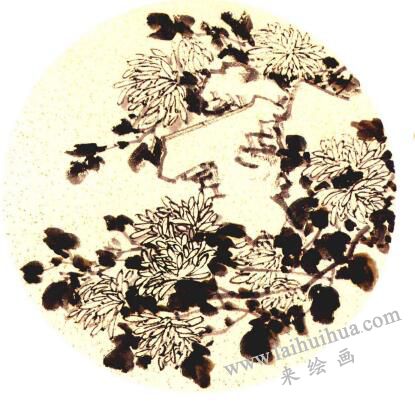 团扇菊花的画法步骤04，范例一