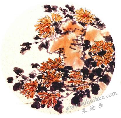 团扇菊花的画法步骤06，范例一