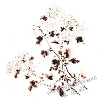 团扇菊花的画法步骤04，范例二