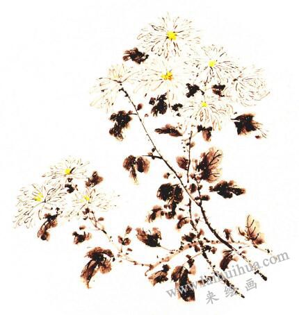 团扇菊花的画法步骤05，范例二