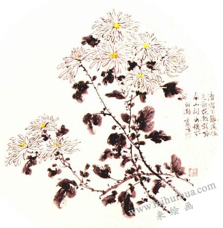 团扇菊花的画法步骤06，范例二