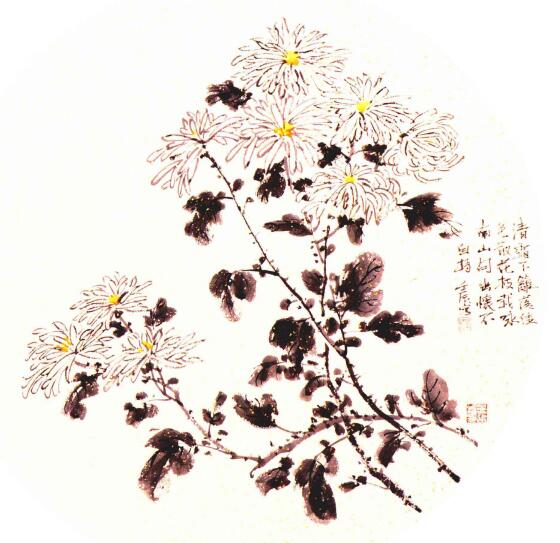 团扇菊花的画法步骤范例二