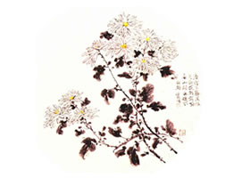 团扇菊花的画法步骤范例二