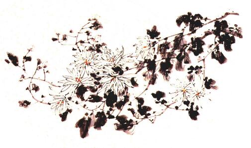 团扇菊花的画法步骤04，范例三