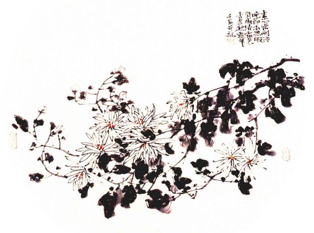 团扇菊花的画法步骤范例三