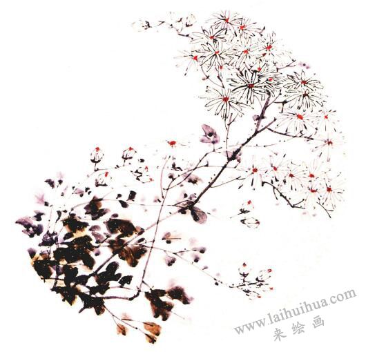 团扇菊花的画法步骤03，范例四