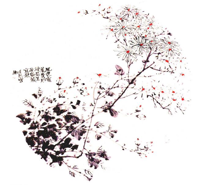 团扇菊花的画法步骤范例四
