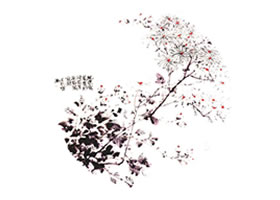 团扇菊花的画法步骤范例四