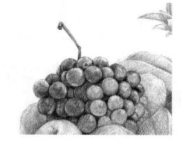 水果拼盘的素描画法步骤02，逐个细化