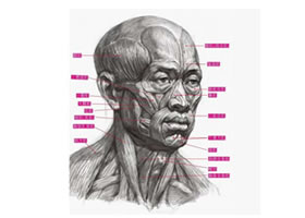 素描人像透视画法