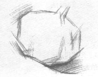 大蒜的素描画法步骤02