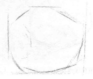 梨子的素描画法步骤01