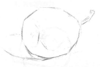 梨子的素描画法步骤02
